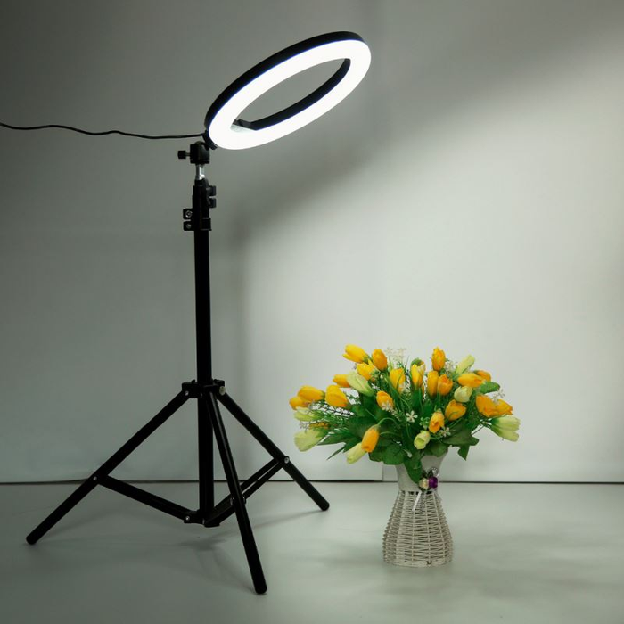 Ring Light Selfie (16 cm) with Tripod Stand 210cm  & Cell Phone Holder for Live Stream/Makeup